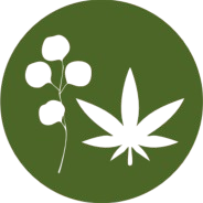 Cannabis y Eucalipto